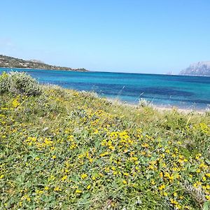 Al Lungomare